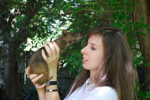 A girl and her rat