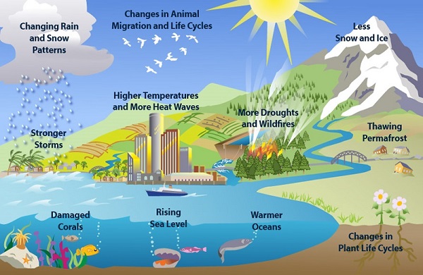 97% of our climate scientists can't be wrong